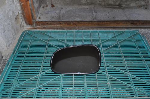 Honda - Civic - Kombi - (1998 - 2001) - Lusterka / Wkład lewego elektrycznego