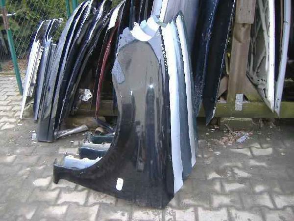 Kia - Carnival I - (1999 - 2001) - Karoseria / Błotnik przedni lewy