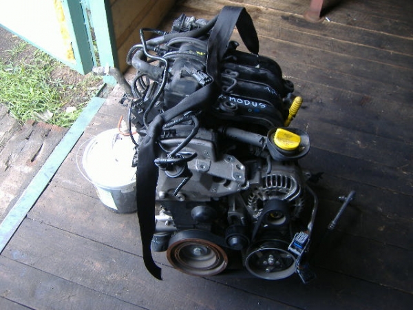 Renault - Modus - (2004 - 2008) - Silnik / Benzynowy bez osprzętu